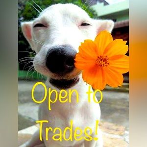 Like an item but would rather trade?! Just ask! ☺️✨